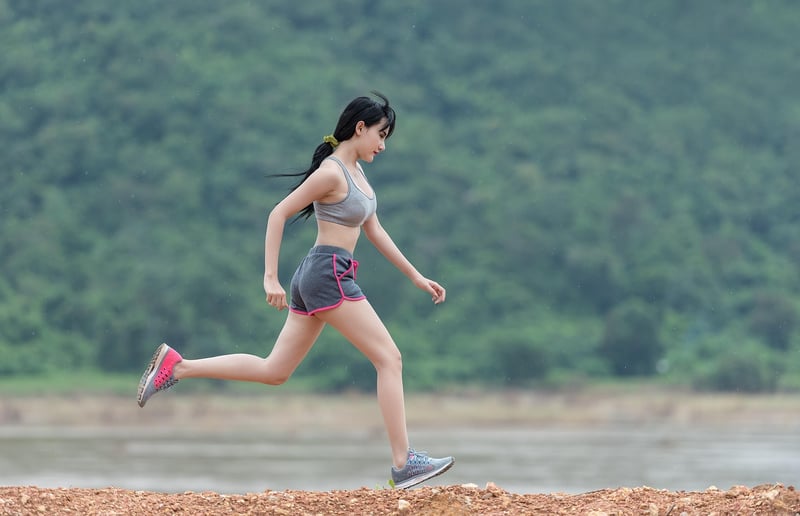 TrailFit Pro Image